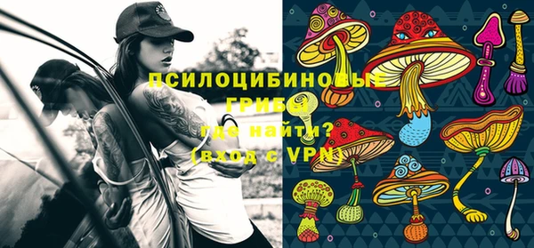 винт Новозыбков