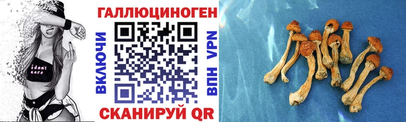 Галлюциногенные грибы мицелий сколько стоит площадка формула Балаково