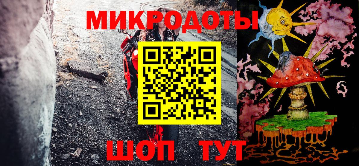 Галлюциногенные грибы мицелий  Галлюциногенные грибы Psilocybine cubensis  Балаково 