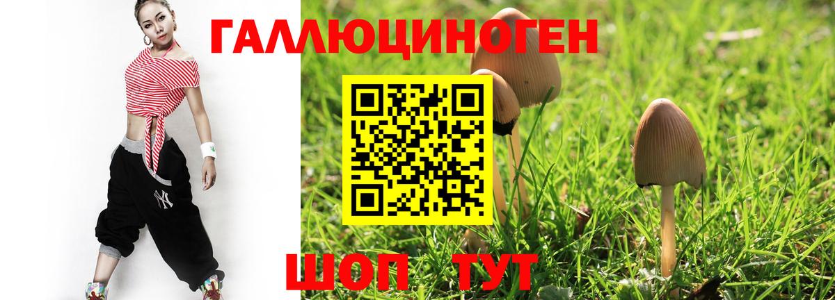 Балаково  Псилоцибиновые грибы Psilocybe  Галлюциногенные грибы Cubensis  Вход с VPN 