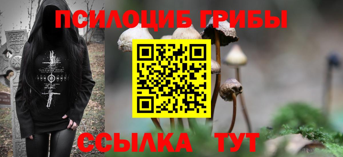 Псилоцибиновые грибы мухоморы Балаково